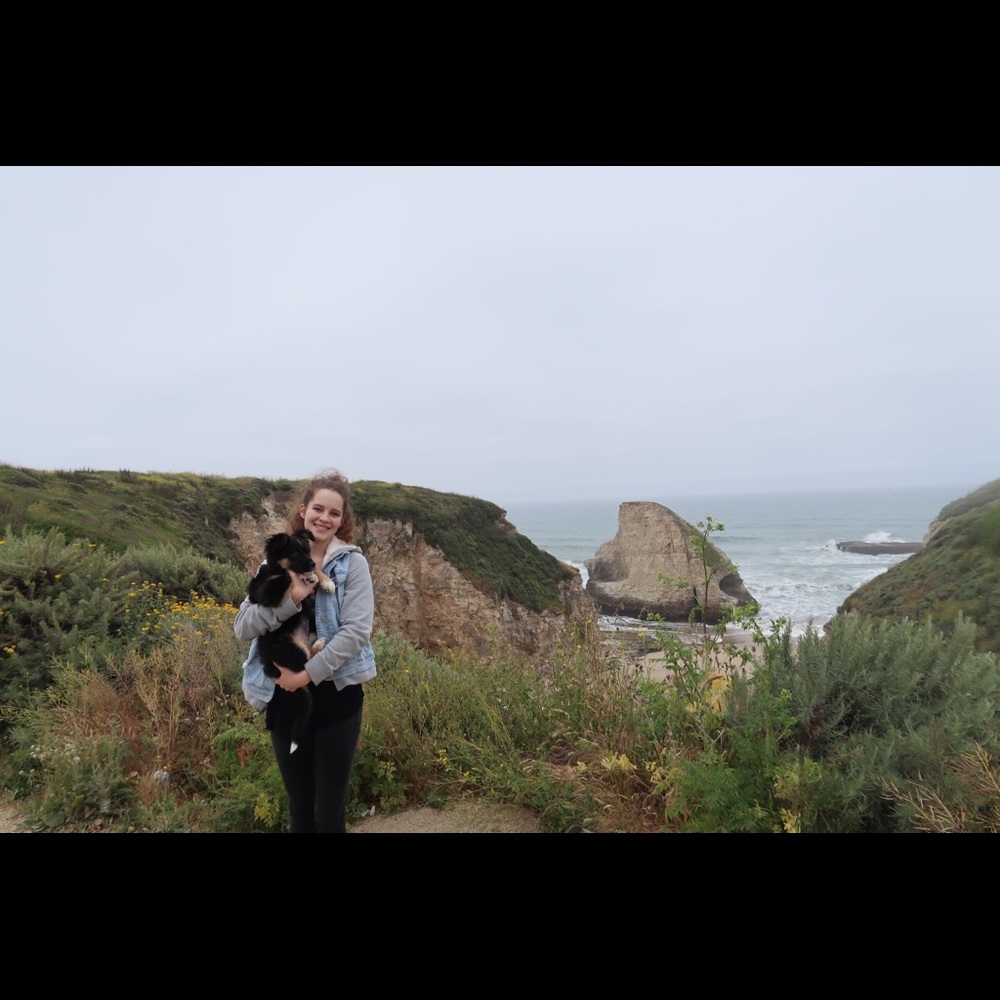 Meet your Posher, Lacy